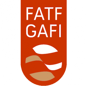 Известны итоги очередного заседания FATF