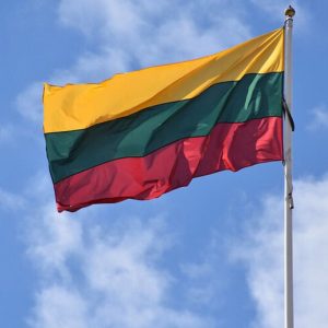 BUSINESS IMMIGRATION TO LITHUANIA