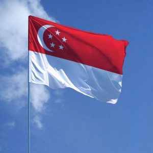 У Сінгапурі ухвалили важливі поправки до Закону про компанії