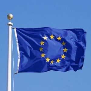 У ЄС зареєстрували ініціативу щодо запровадження єдиного податку на багатство