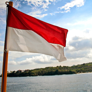 Індонезійська влада прийняла поправки до імміграційного законодавства, що допускають видачу резидентства за інвестиції.
