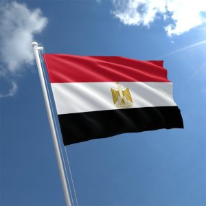 Egypt will simplify taxation for startups