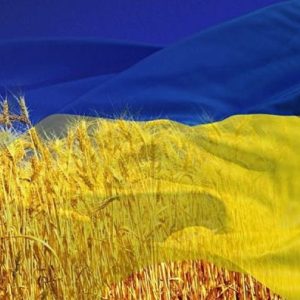 Какие бизнесы открывали украинцы в 2023 году? Обнародованы результаты
