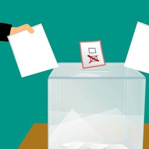 В Литве пока не разрешат двойное гражданство — результаты референдума