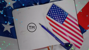 TM Registration in the USA: what can go wrong?